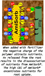 Amisorb Science